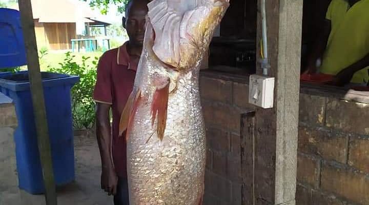 IMG_2703.jpeg