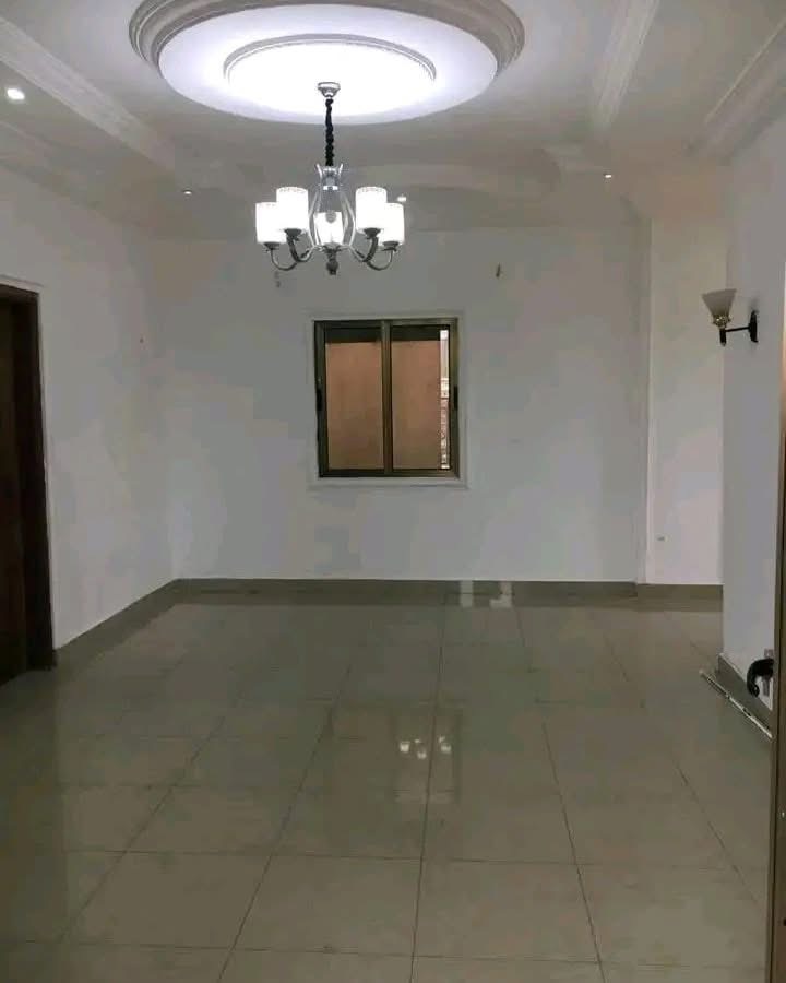 IMG_1395